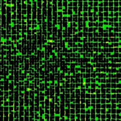Pretty Squishy (link to visualizer in description)