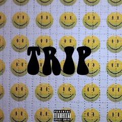 TRIP (prod. MO) [mixed by senseineo x MO]