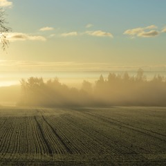Grimasch Om Morgonen Cover