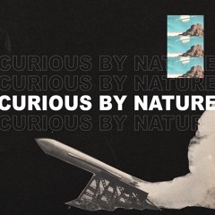 Daily Bread - Curious By Nature [Navigator, Standby LP available everywhere 5/3/19]