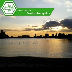 Road to Tranquility