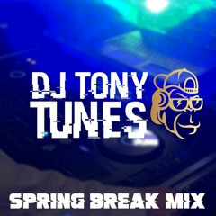 DJ Tony Tunes- Spring Break Mix