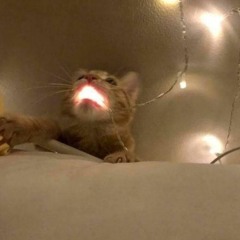 stay together for the kids (blink remix)