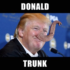 D-MINUS - DONALD TRUNK