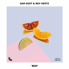 Sam Ourt & Nev Hertz - Way