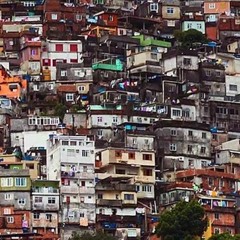 FALA PIRANHA BANDIDA - MC TORUGO ( DJ Robão ) @djrobaoofc