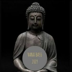 Vana Bass 60 Min Yoga Flow