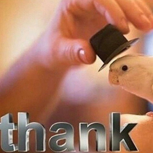 [Original] [Unfinished] - Don't be shy!