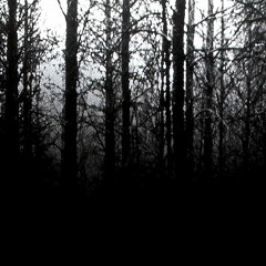 The Vanished