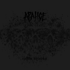 APATICE - Rajam Bhineka