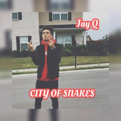 City of Snakes - Jay Q feat. Anthony Isaiah (Prod. Taylor King)