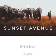 Sunset Avenue 065 [25.04.19]