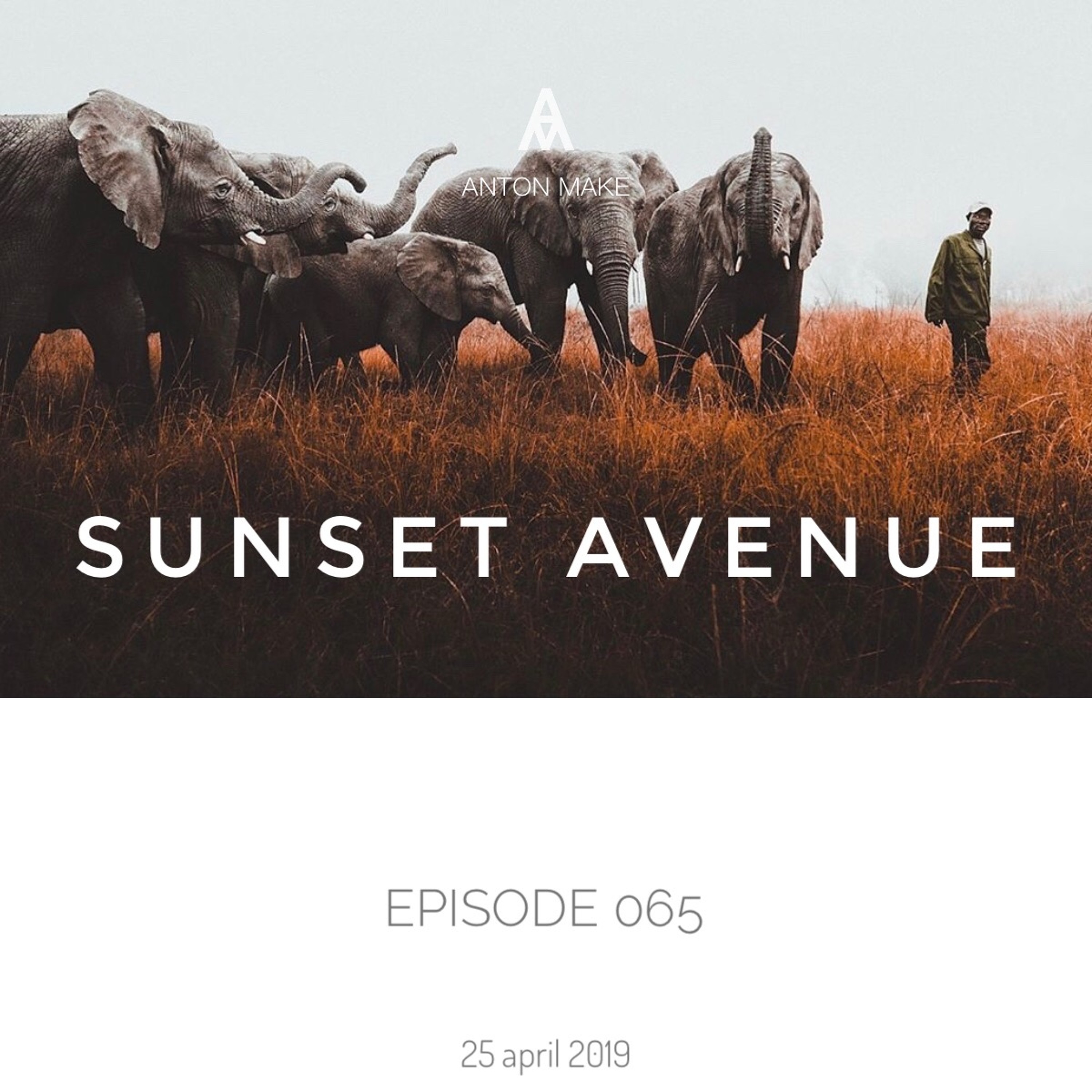 SUNSET AVENUE