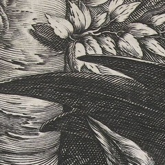 mixed matches - gratitude (slowed)