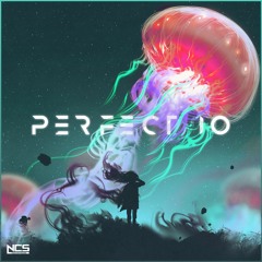 Unknown Brain - Perfect 10 (Unknown Brain & RudeLies VIP) [NCS Release]