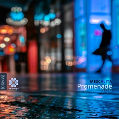 Mudra podcast / Mescalita - Promenade [MM90]