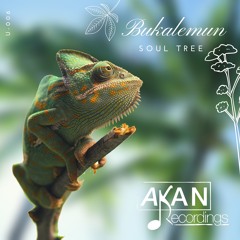 OUT NOW! Bukalemun - Soul Tree