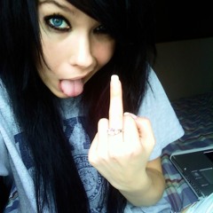 Palm full of daisies