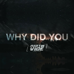 Why Did You (Extended Mix)