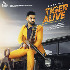 Tiger Alive Sippy Gill