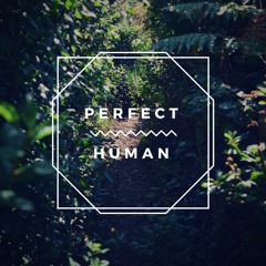 Perfect Human - Instrumental