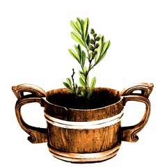 Ep. 17: Beer in Norse Culture pt. 1 - "Not All Ales Are Alike"