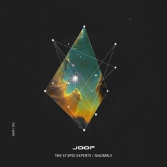 The Stupid Experts  - Anomaly (Original Mix)