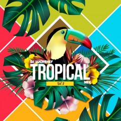 DJ LUCHSHIY - TROPICAL MIX VOL.2