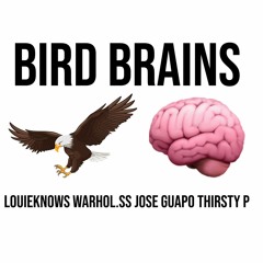 Bird Brains ft. Warhol.SS, Jose Guapo, Thirsty P (prod. Greg DiNero)