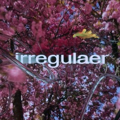 irregulär 42 x Brokez