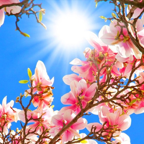 INTO MAY