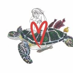 save turtle.