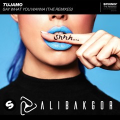 Tujamo - Say What You Wanna (Ali Bakgor Remix)
