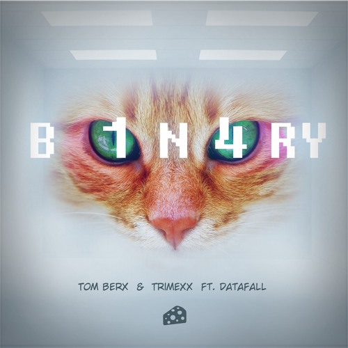 Tom Berx & Trimexx - Binary (ft. Datafall)