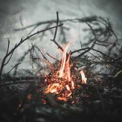 Campfire Stories 63 (Spring Ray) by Toki Fuko