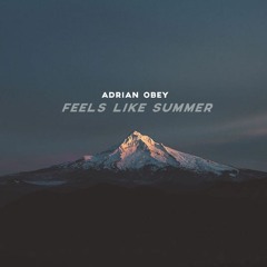 Adrian Obey ~ Feels Like Summer [prod. by L.David]