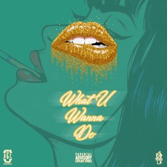 What U Wanna Do (Prod. By Palaze)
