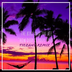 The Bird And The Bee - How Deep Is Your Love (Ti3zane Remix)