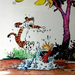Splash Of Joy