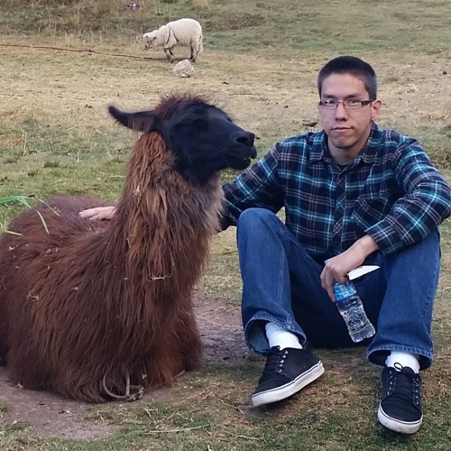 Palisades - Erase The Pain (Acoustic Cover)