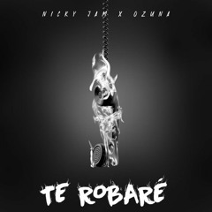 Nicky Jam ft. Ozuna - Te Robaré (S7EIN Intro Clean)