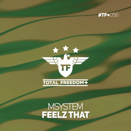 Msystem - Feelz That