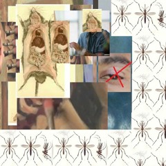 it's fun to stay at the YMCA