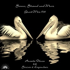 Sonne, Strand und Meer Guest Mix #36 by Aurata Dhura b2b Serioes & Legendaer