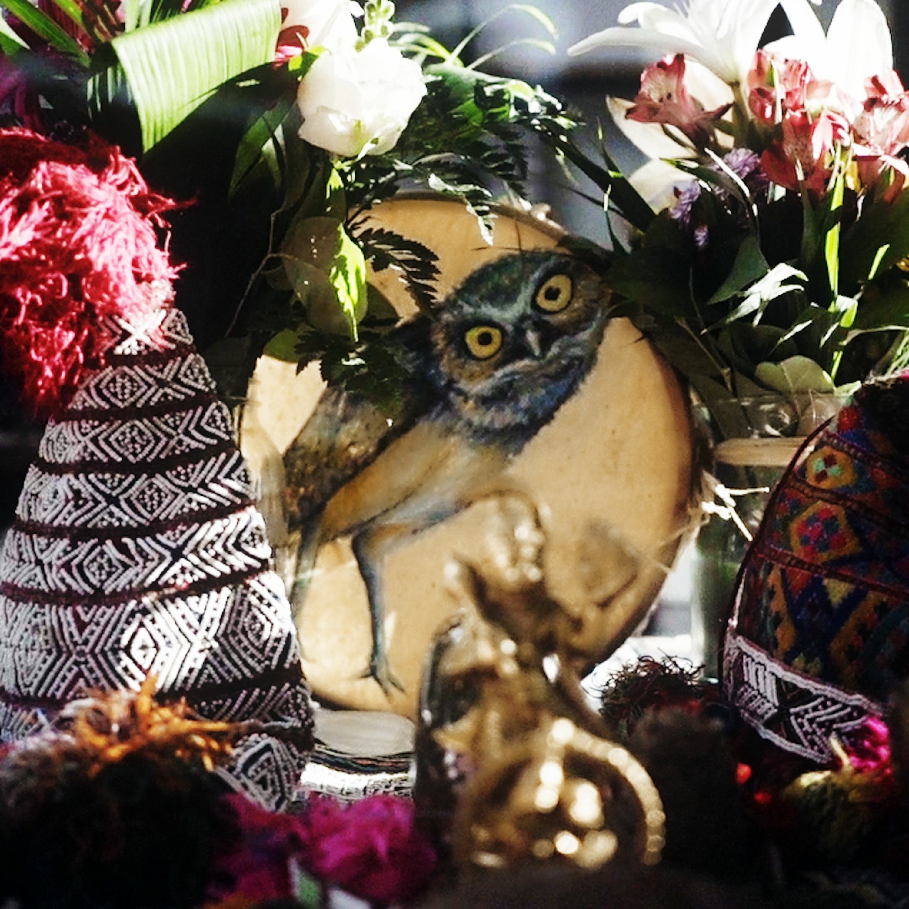 Ayahuasca Journeying and Shamanism