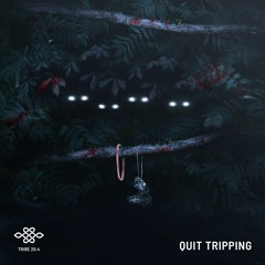 Quit Tripping - Cashy x Dane Amar x Johnny 光 Hikari x pavenb.