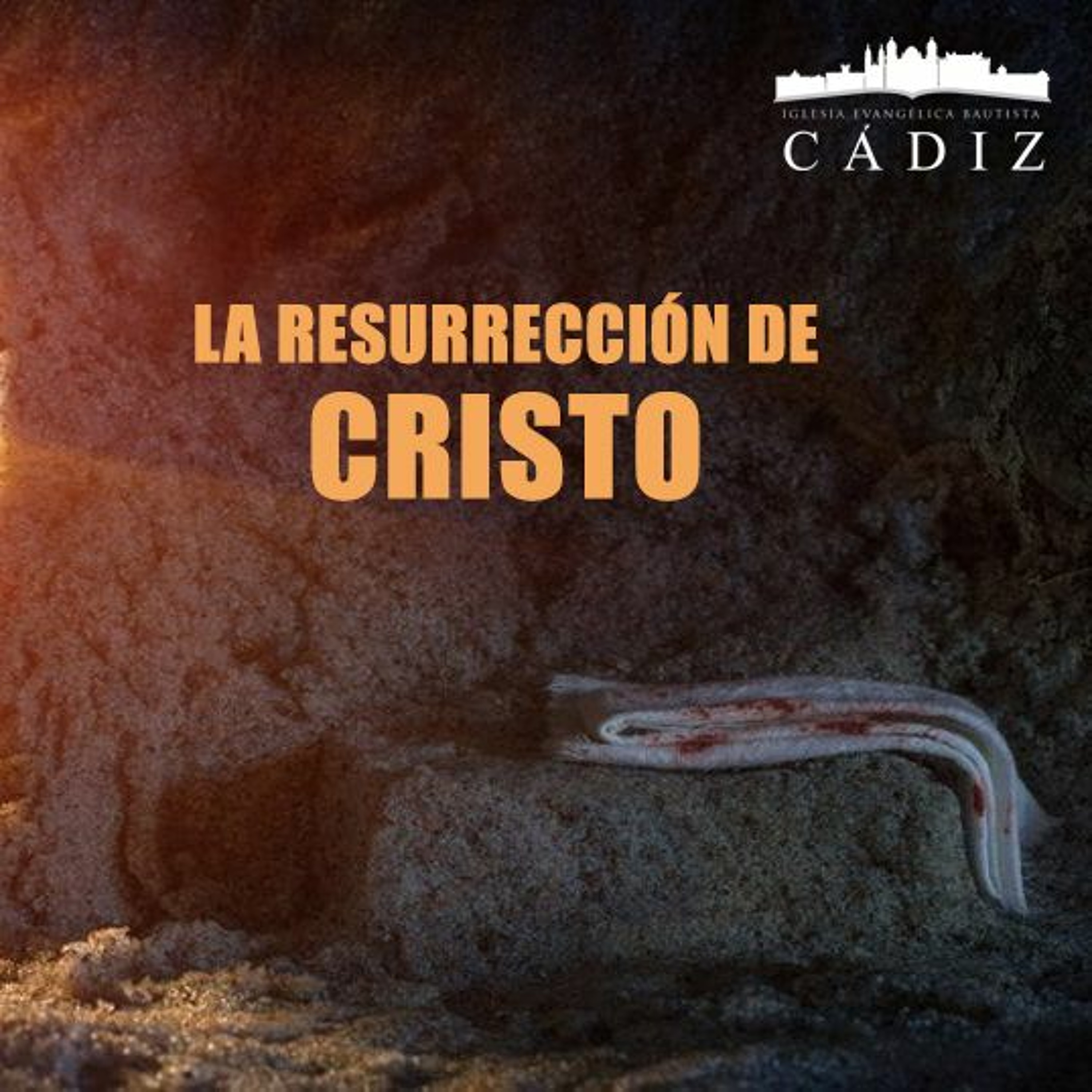 Iglesia Evangélica Bautista de Cádiz
