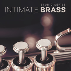 8Dio Intimate Studio Brass "New Beginning" By Leandro Gardini