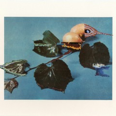 Dietl Record (190427.) / Celestial Trax / FIN