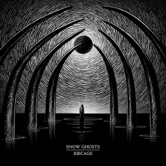 Snow Ghosts - Ribcage